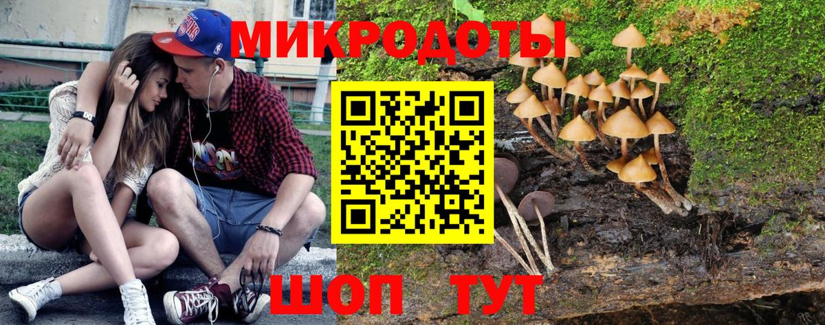 хочу наркоту  Галлюциногенные грибы Psilocybe  Псилоцибиновые грибы мухоморы  Вход с VPN  Верхний Уфалей 