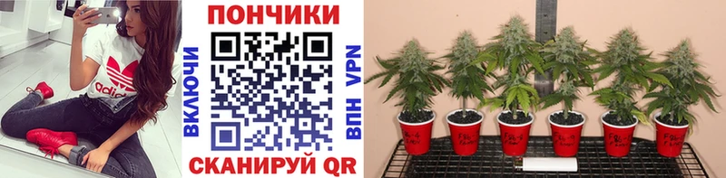 МАРИХУАНА Bruce Banner  Верхний Уфалей 